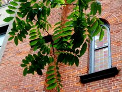 -上海基督教景灵堂