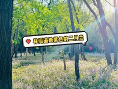 -枫花园汽车电影院(朝阳公园店)