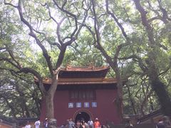 门面-普陀山风景名胜区-法雨禅寺