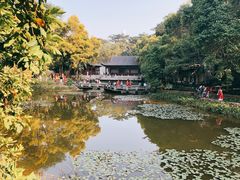 -深圳国际园林花卉博览园