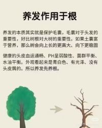 -Bollins波林丝•专研护发中心