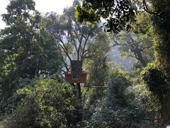 -清迈丛林飞跃 JungleFlight