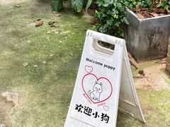 -嘁嘁茶泡饭