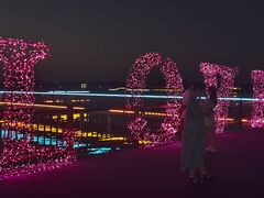 -鹅湖玫瑰文化园