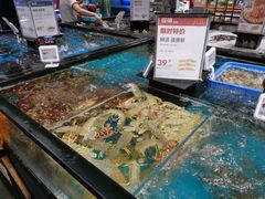 水产区-盒马鲜生(皇庭广场店)