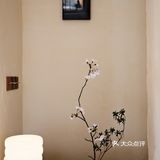 在明写馆拥抱午后温暖
