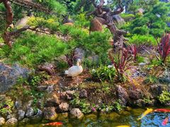 -罗红摄影艺术馆