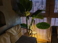 -施奈儿.洗头頭療.按摩SPA.采耳(上梅林店)