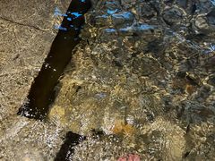 -明谷行馆·温泉