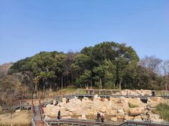 -狮子山(地铁站)