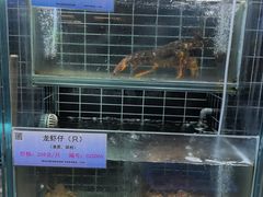 -宏运厨房·海鲜青岛菜·生日宴(城市阳台店)