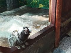 -上海大自然野生昆虫馆(东方明珠·爬宠昆虫探索中心)