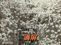 -睦南公园