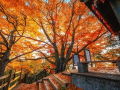 -光雾山旅游景区