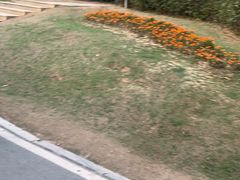 -八仙山公园
