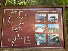 -大岭沟猕猴桃谷风景区