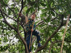 -塘栖枇杷特色园区