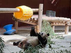 -杭州野生动物世界