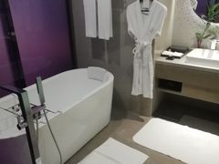 -南京禄口机场雅高铂尔曼大酒店