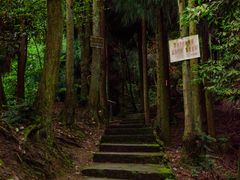 -钟鼎寺