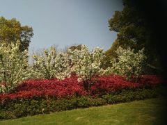 -昆山城市生态森林公园