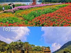 -广州市石门国家森林公园