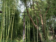 -乌村