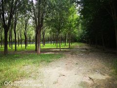 -亲兄弟真人CS团建拓展基地