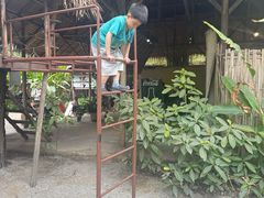 -大象粑粑造纸公园