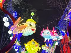 -武汉园博园(武汉自然博物馆)