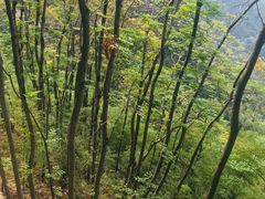 -大慈岩风景区
