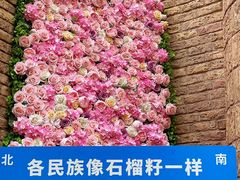 -伊带伊路新疆美食府(呼家楼店)