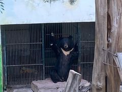 -广州动物园