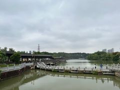 -八大山人梅湖景区