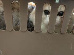 -宠颐生汉谟拉比宠物医院