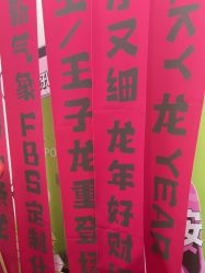 -凡碧诗毛孔清洁收细