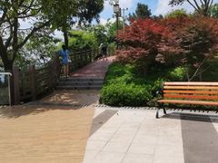 -铁山坪森林公园