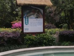 -天赐温泉