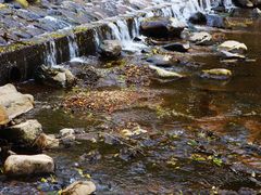 -鹿亭中村