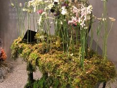 -HELEN FLORAL DESIGN(海上世界文化艺术中心店)