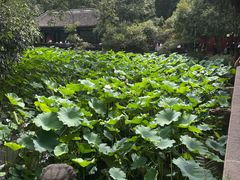 -成都武侯祠博物馆