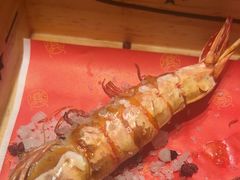 -月龍吟(朝龙汇店)