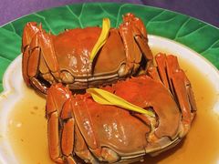 -老吉堂上海本帮菜(工体店)