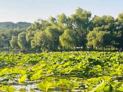 -承德避暑山庄景区