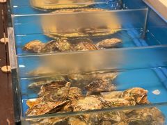 -火舞泰·泰式海鲜火锅餐厅(世纪城店)