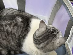 -美联众合动物医院·24h京西诊疗中心