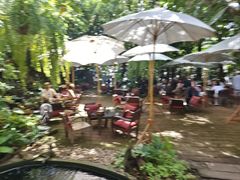 -Fern Forest Cafe