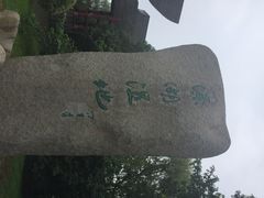 iphone_upload_pic-溱湖国家湿地公园