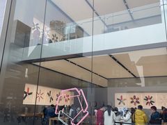 -Apple零售店(成都太古里店)