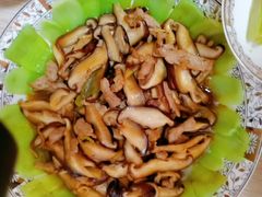 -爱月宝月嫂·育儿嫂(哈尔滨总店)